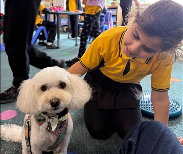 child with a school support dog