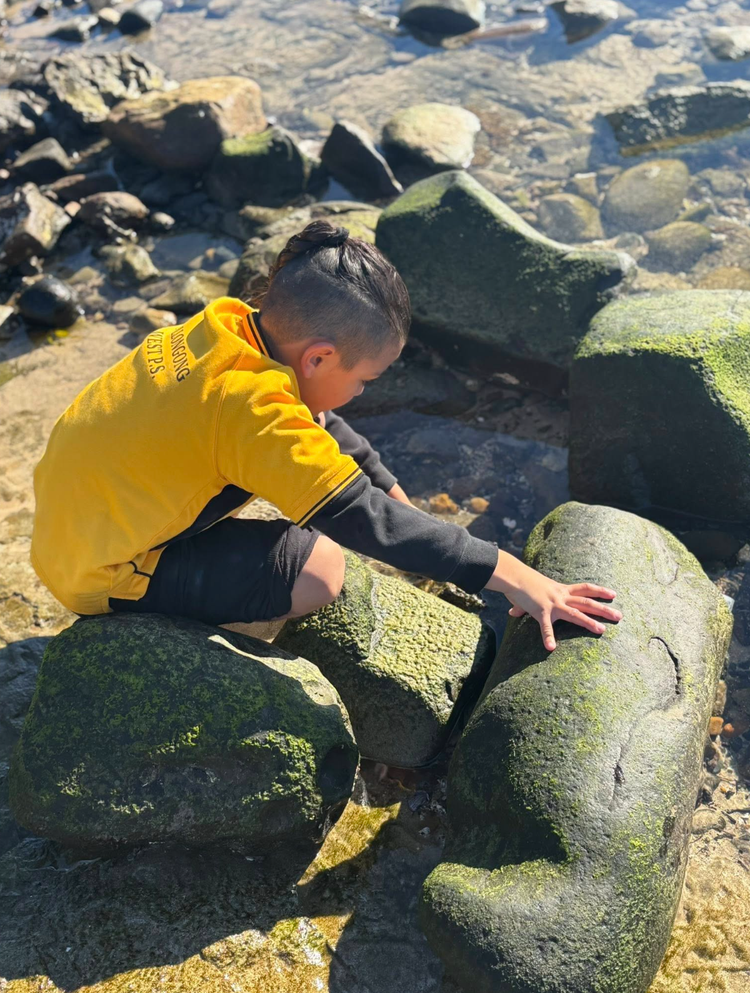 Boy on an excursion to the beach