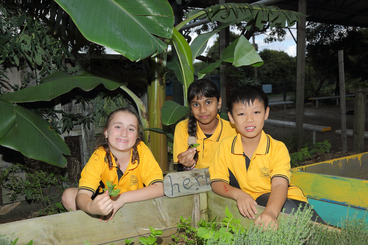 Children working in our herb garden